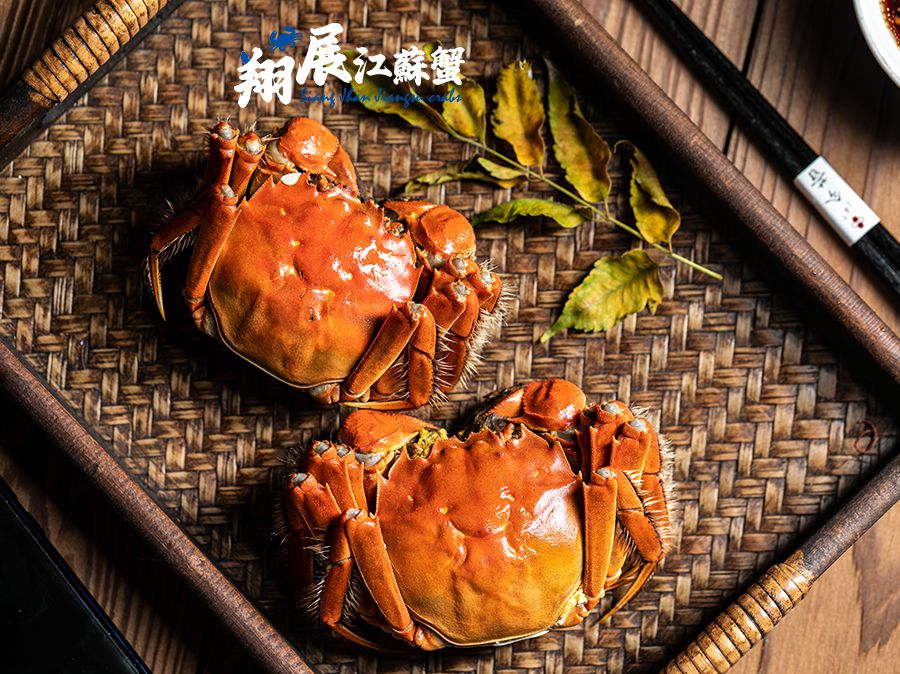 每隻★5.5~6.0兩★江蘇大閘蟹