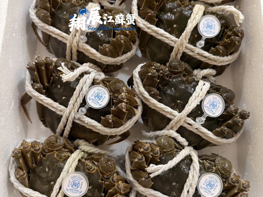 每隻★5.0~5.5兩★特級大閘蟹